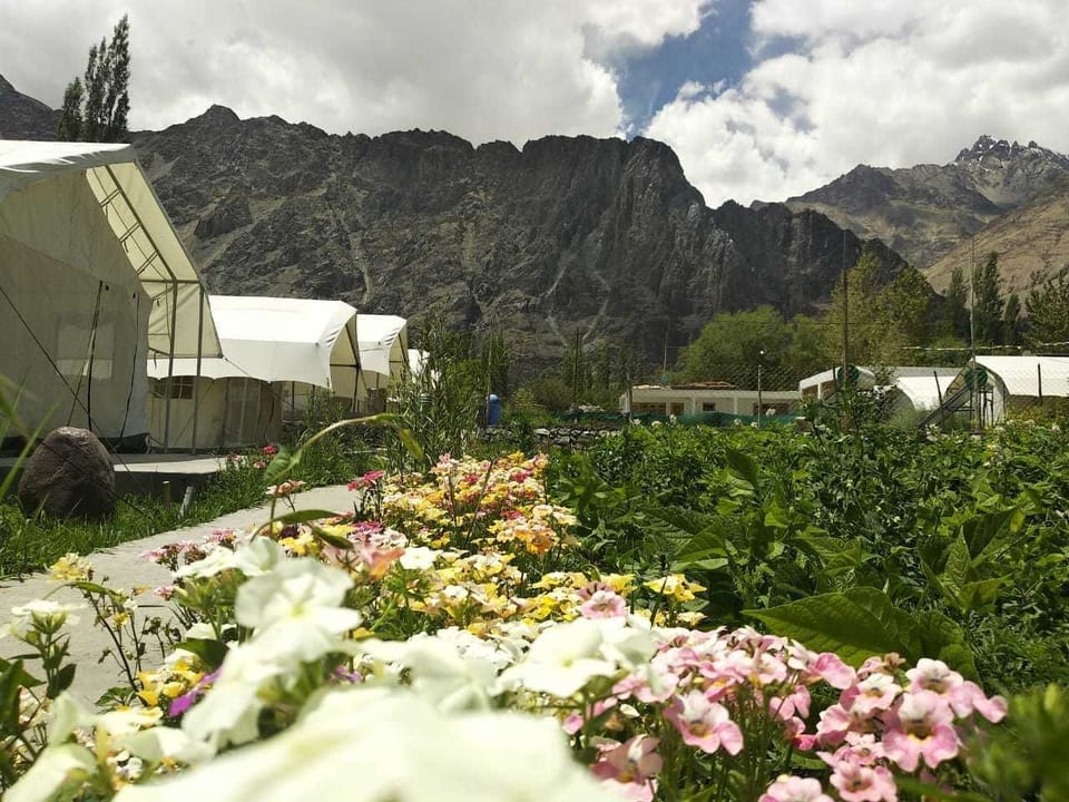 Deluxe Double Room | Garden view