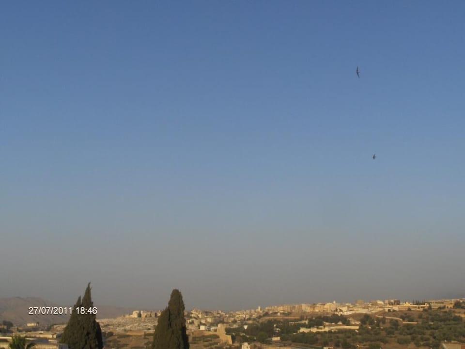 City view from property