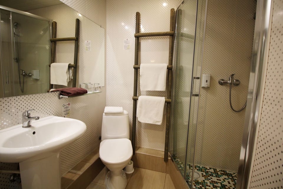 Double or Twin Room | Bathroom | Shower, hair dryer, towels