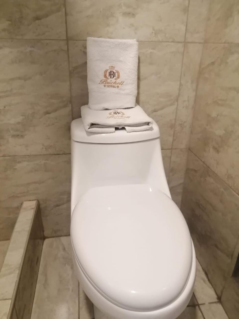 Shower, rainfall showerhead, bidet, towels