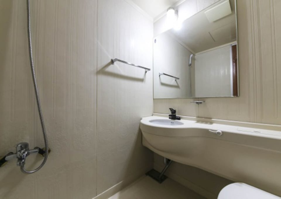 Free toiletries, hair dryer, slippers, towels