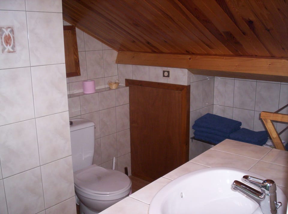 Shower, hair dryer, towels, toilet paper