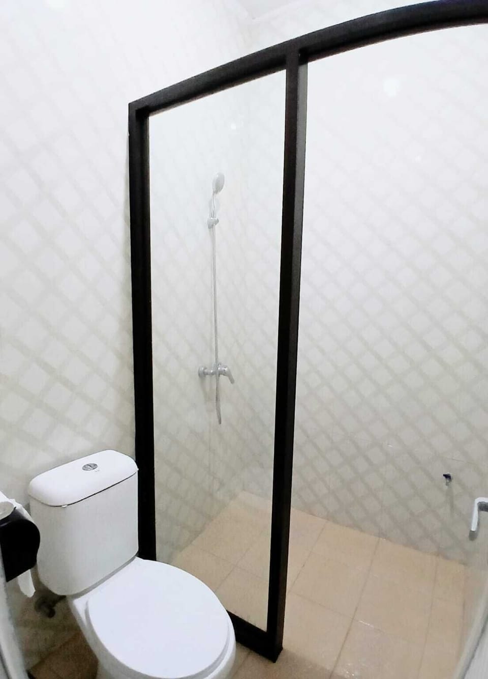 Shower, bidet, towels, soap
