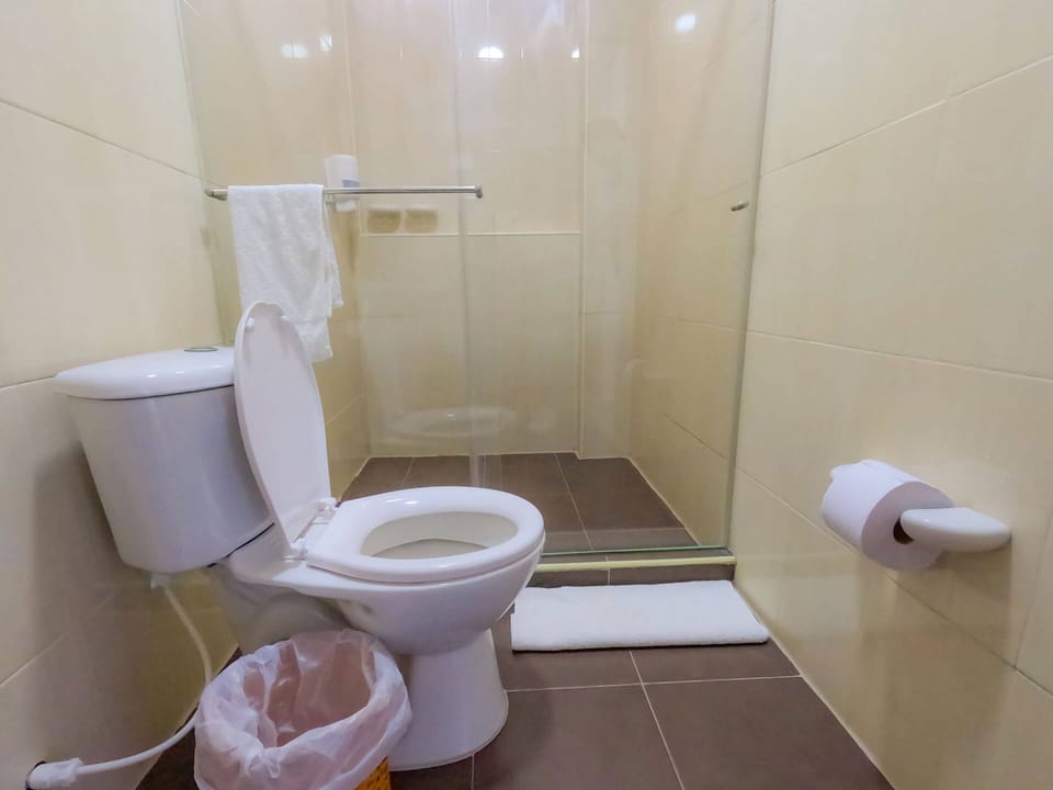 Shower, free toiletries, hair dryer (on request), towels