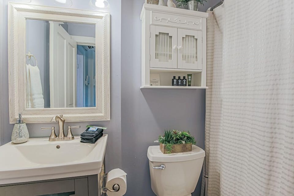 The Serendipity Suite Apartment in Staunton