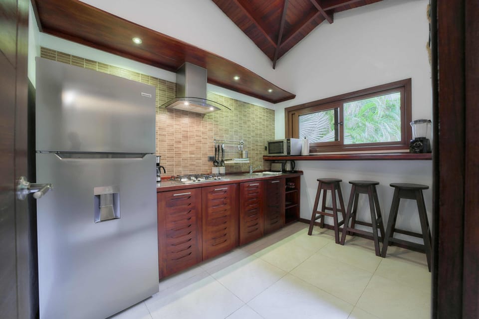 Premium Apartment | Private kitchen | Coffee/tea maker, full-size fridge, freezer