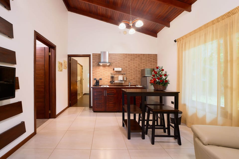 Luxury Apartment | Living area | 32-inch Smart TV with satellite channels, TV