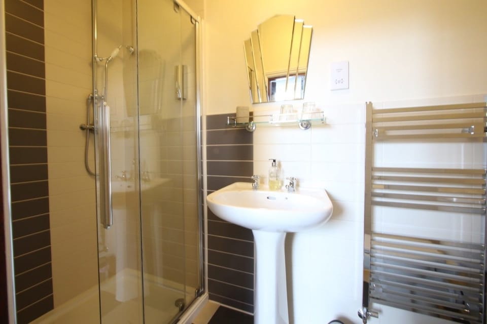 Double Room (Room 1 No Dogs) | Bathroom | Shower, rainfall showerhead, free toiletries, hair dryer
