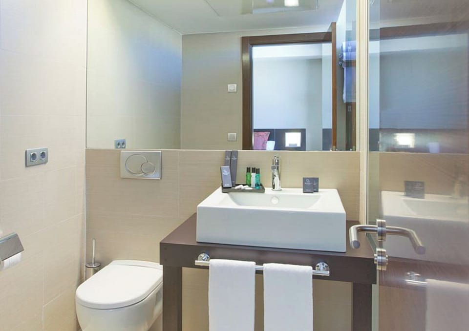 Hair dryer, bidet, towels