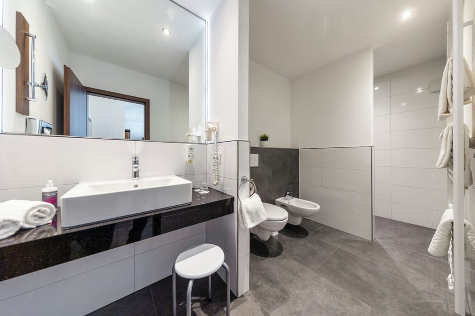 Deluxe Double Room | Bathroom | Free toiletries, hair dryer, bathrobes, slippers