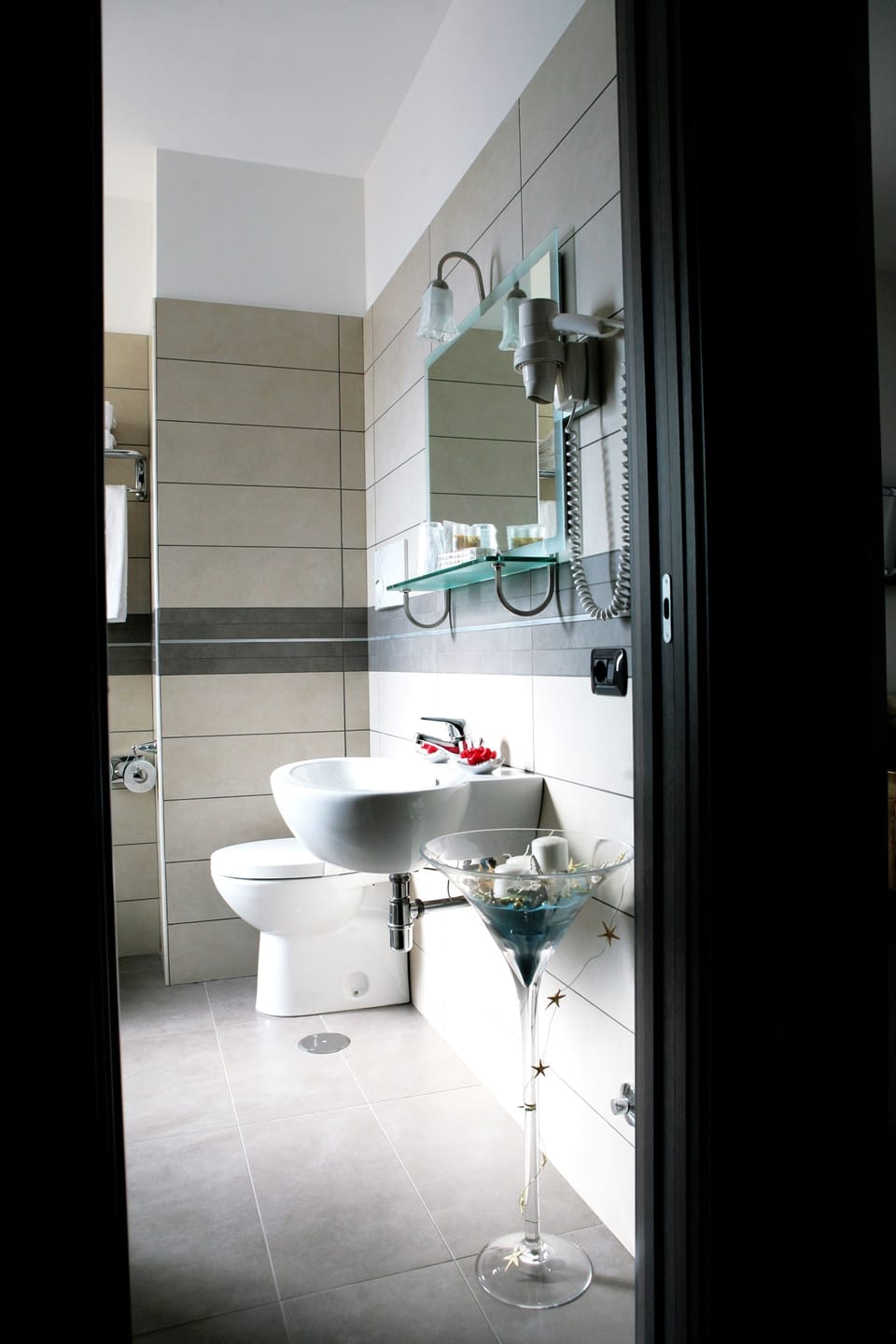 Shower, hair dryer, bathrobes, bidet