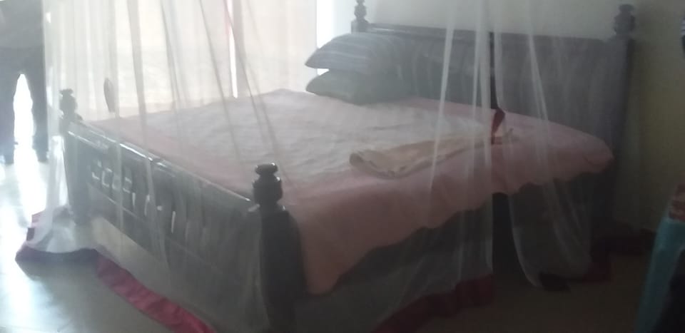 Single Room | Bed sheets