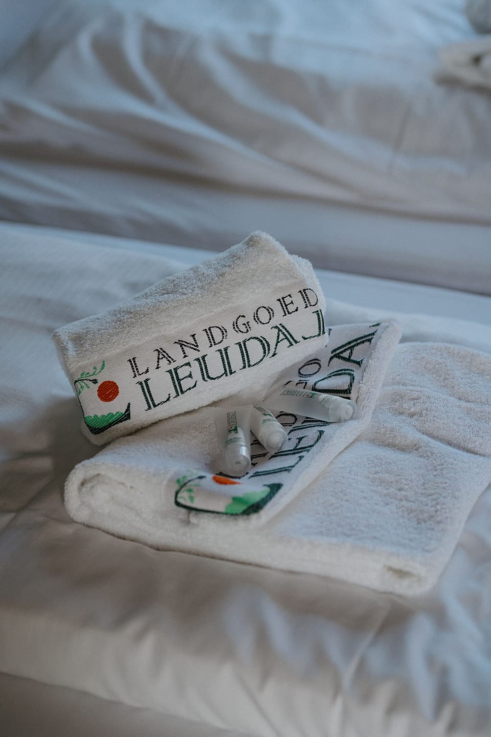 Landgoed Leudal Hotel in Limburg (province)