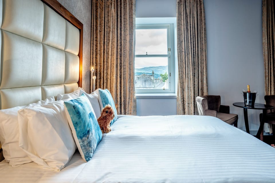 King Deluxe Guest Room | Hypo-allergenic bedding, desk, iron/ironing board, free WiFi