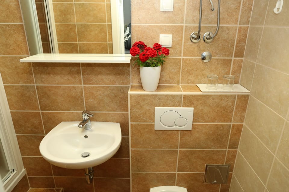 Double Room | Bathroom | Shower, hair dryer, towels