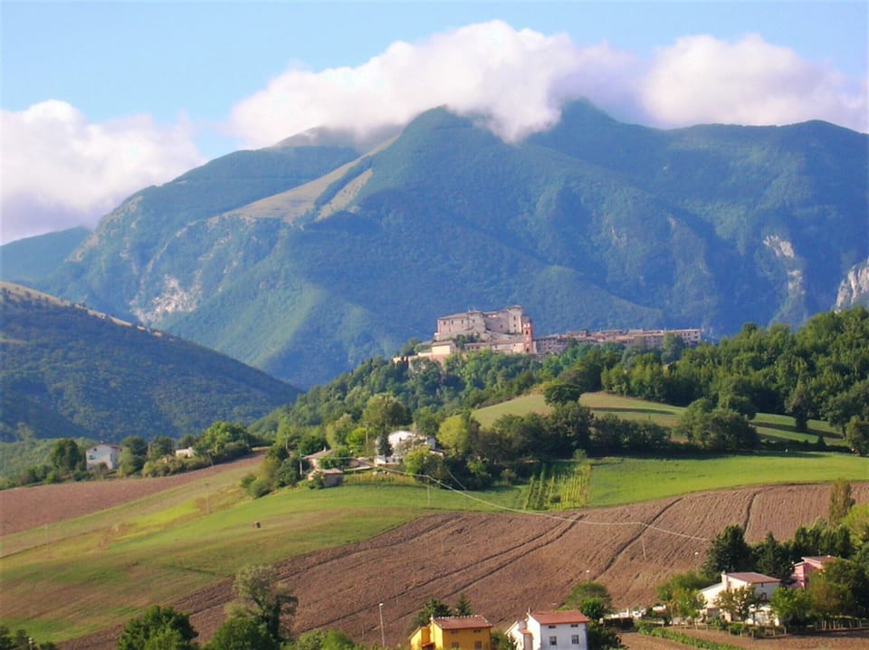 Mountain view