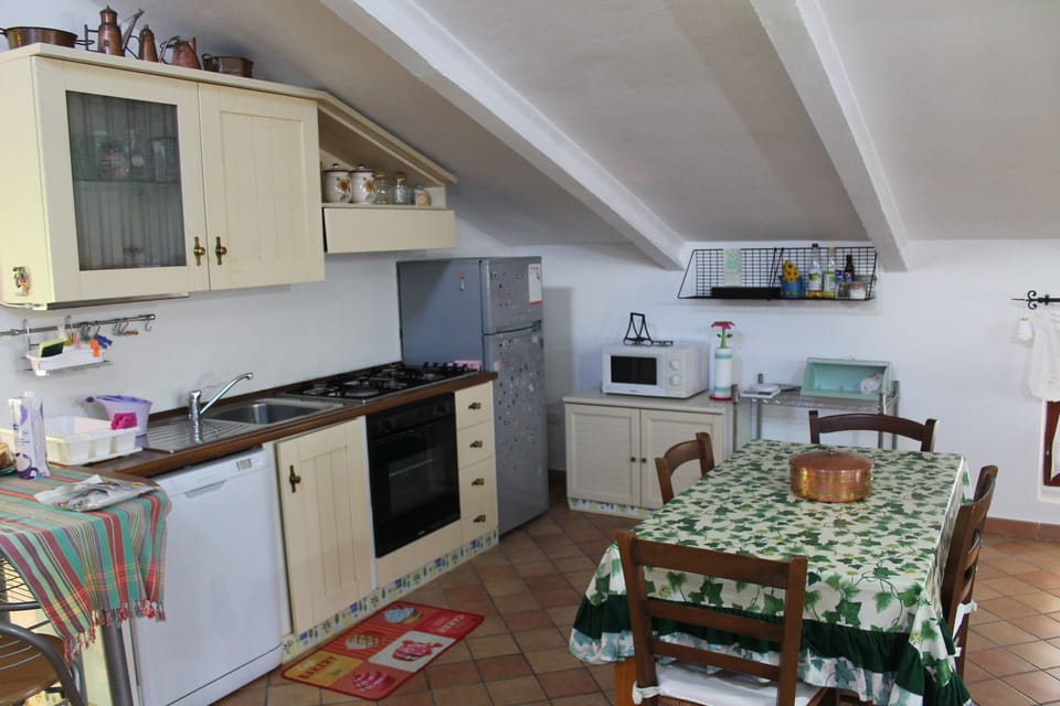 Standard Apartment | Private kitchen | Full-size fridge, microwave, oven, stovetop