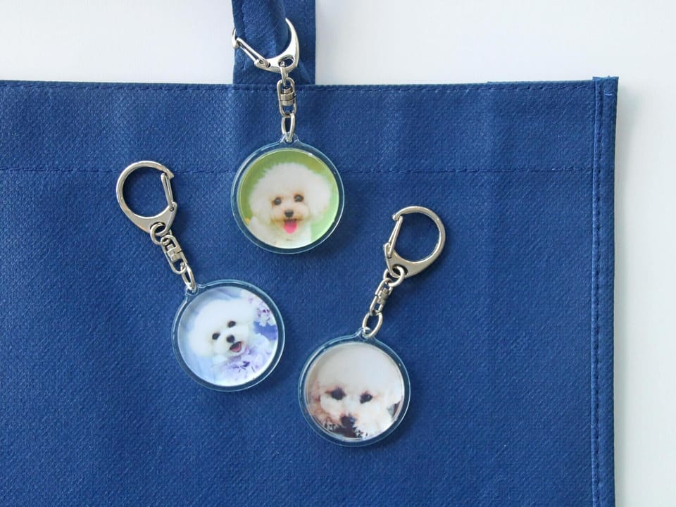 Pet-friendly amenities
