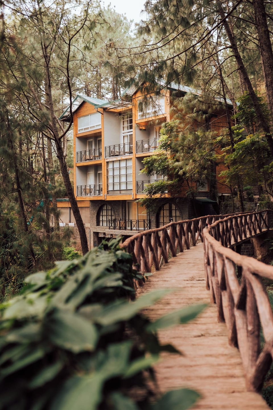 View from property