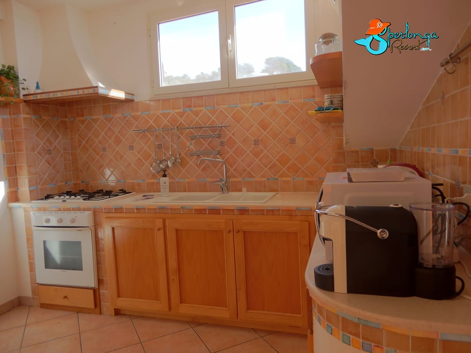 Apartment, 2 Bedrooms, Terrace | Private kitchen | Fridge, microwave, oven, stovetop