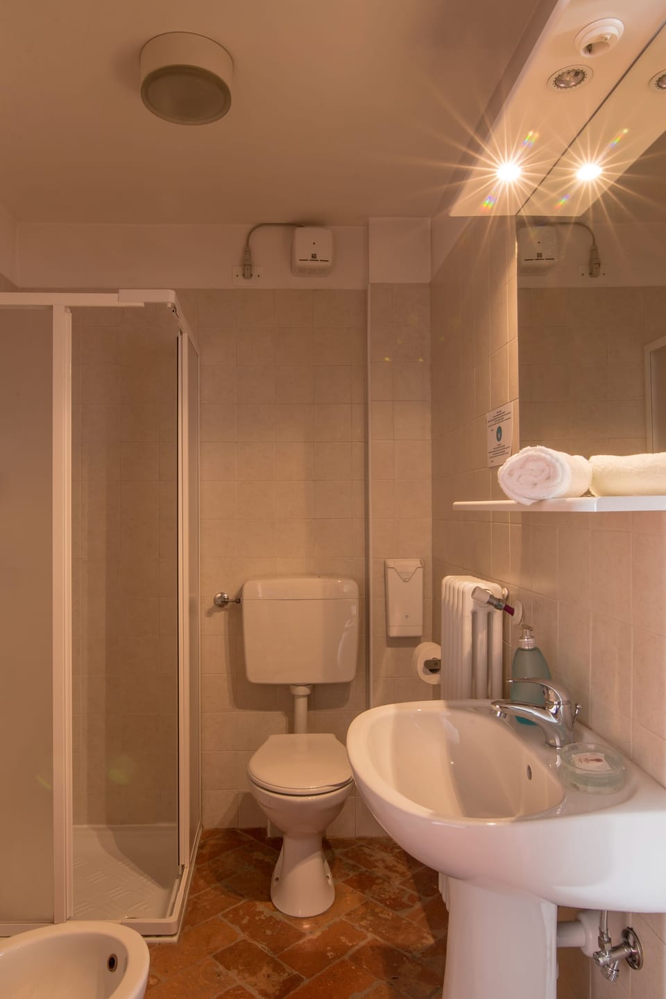 Shower, free toiletries, bidet, towels