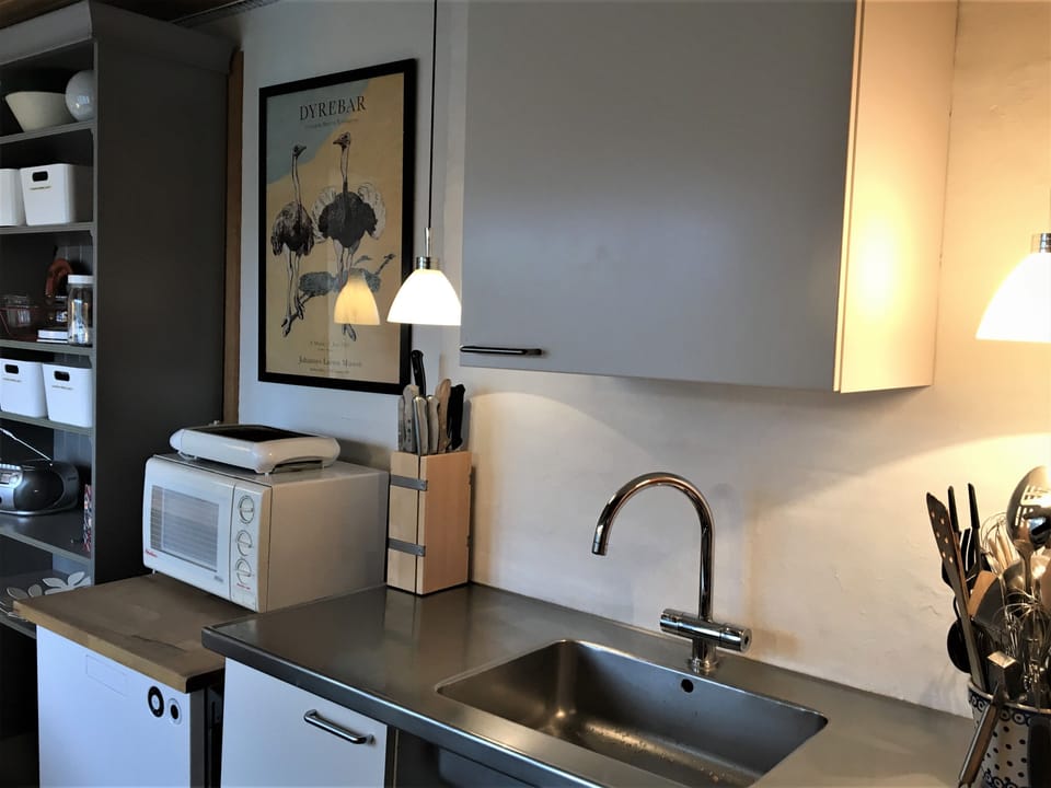 Basic Double Room, Shared Bathroom | Shared kitchen | Full-size fridge, microwave, oven, stovetop