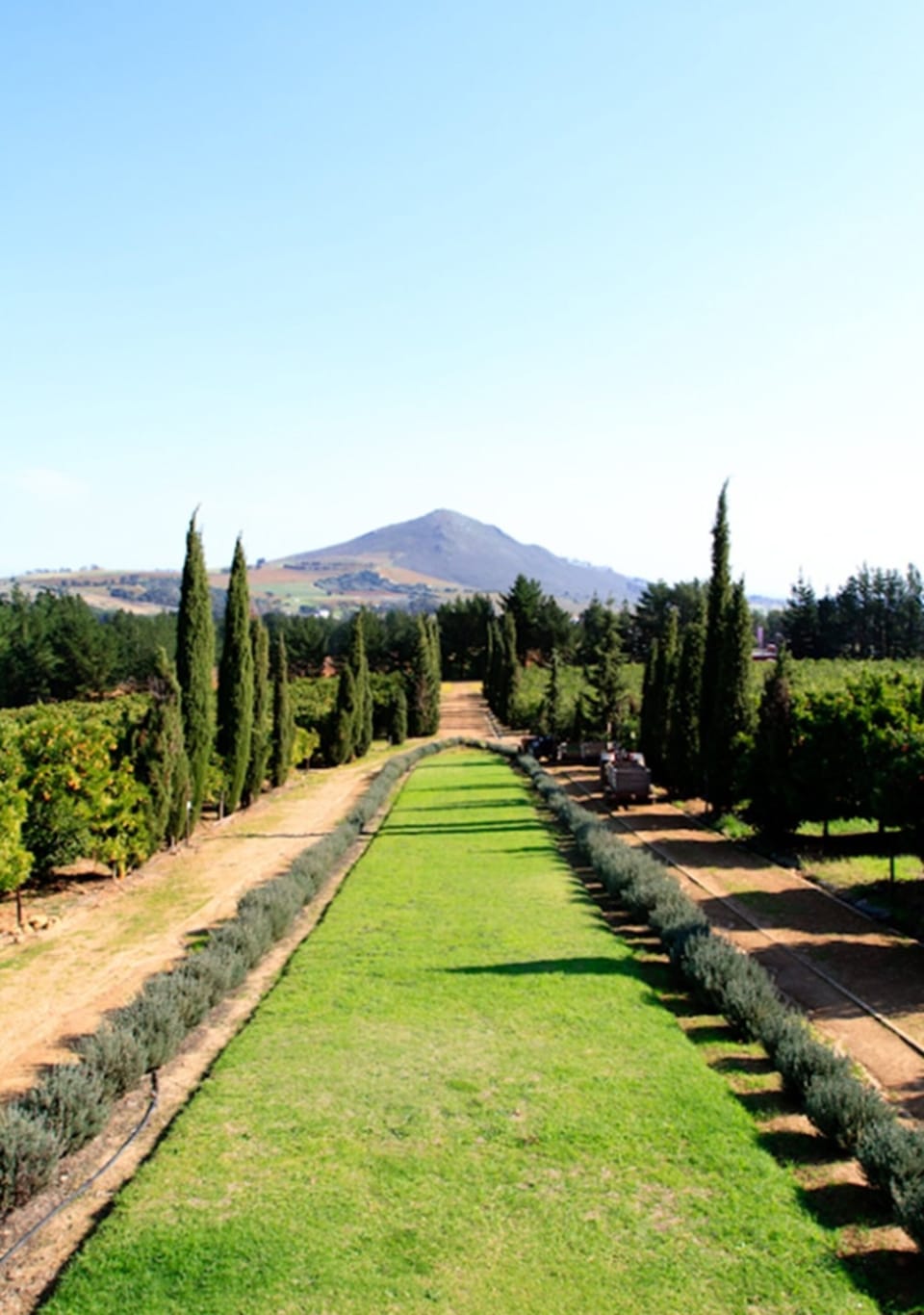 Winery