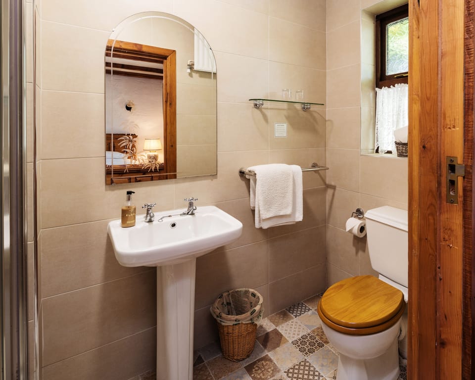 Deluxe Room | Desk, iron/ironing board, free WiFi, bed sheets