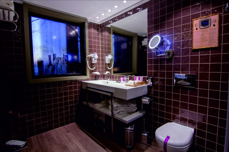 Superior Double Room | Bathroom | Free toiletries, hair dryer, bathrobes, slippers