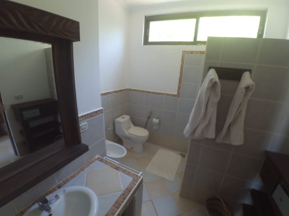Deluxe Room | Bathroom | Shower, free toiletries, slippers, bidet