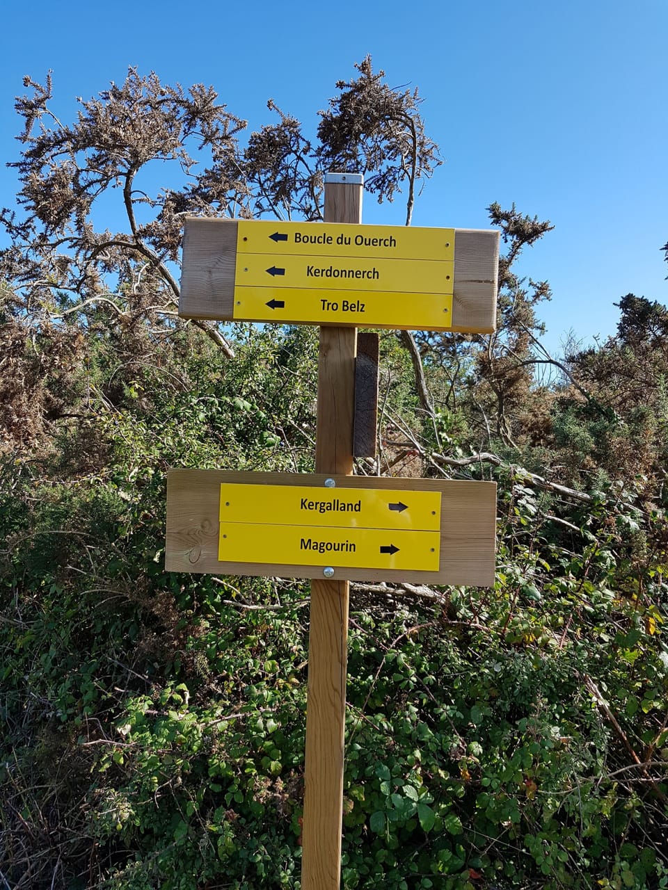 Hiking