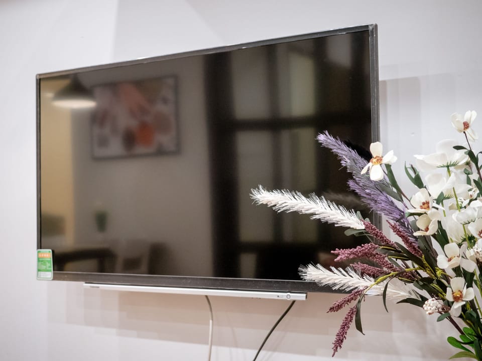 Television