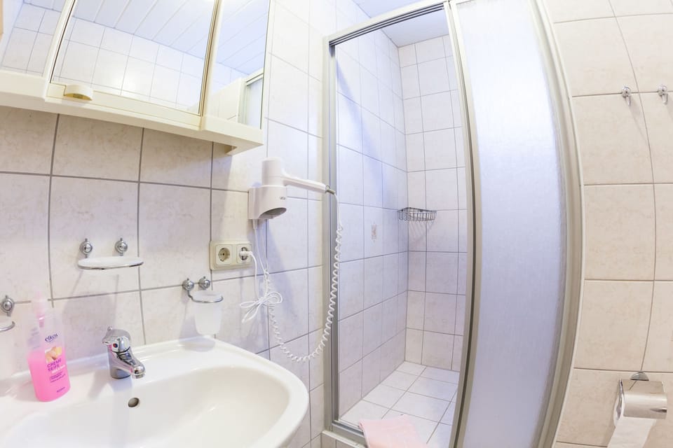 Shower, free toiletries, hair dryer, towels