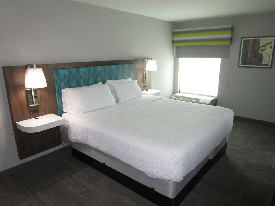 Suite, 1 King Bed, Non Smoking (with Sofabed) | Premium bedding, down comforters, in-room safe, desk