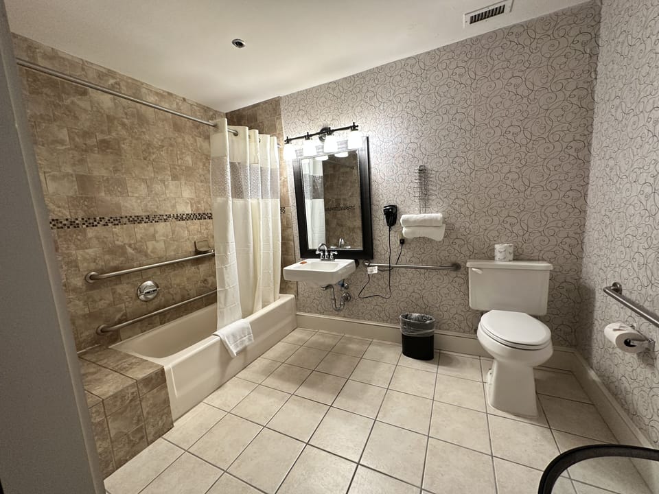 Combined shower/tub, free toiletries, hair dryer, towels