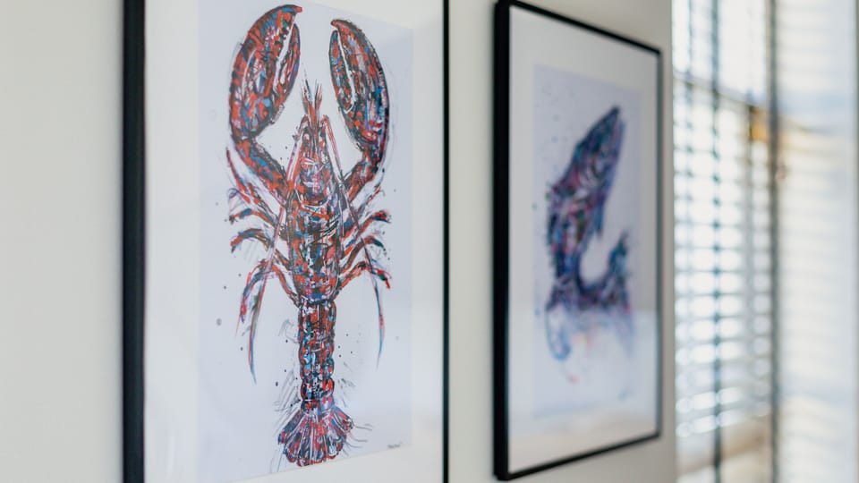 50-inch flat-screen TV with satellite channels, TV