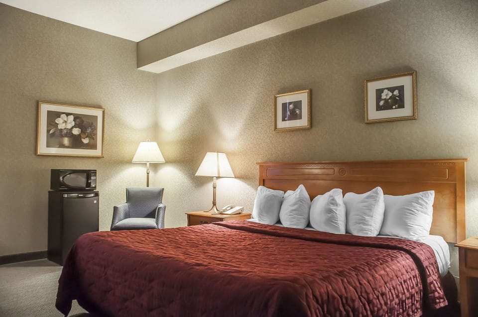 Room, 1 King Bed, Refrigerator & Microwave, Ground Floor | Individually furnished, desk, blackout drapes, iron/ironing board