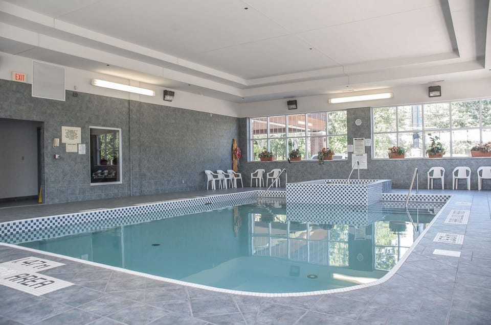 Indoor pool, sun loungers