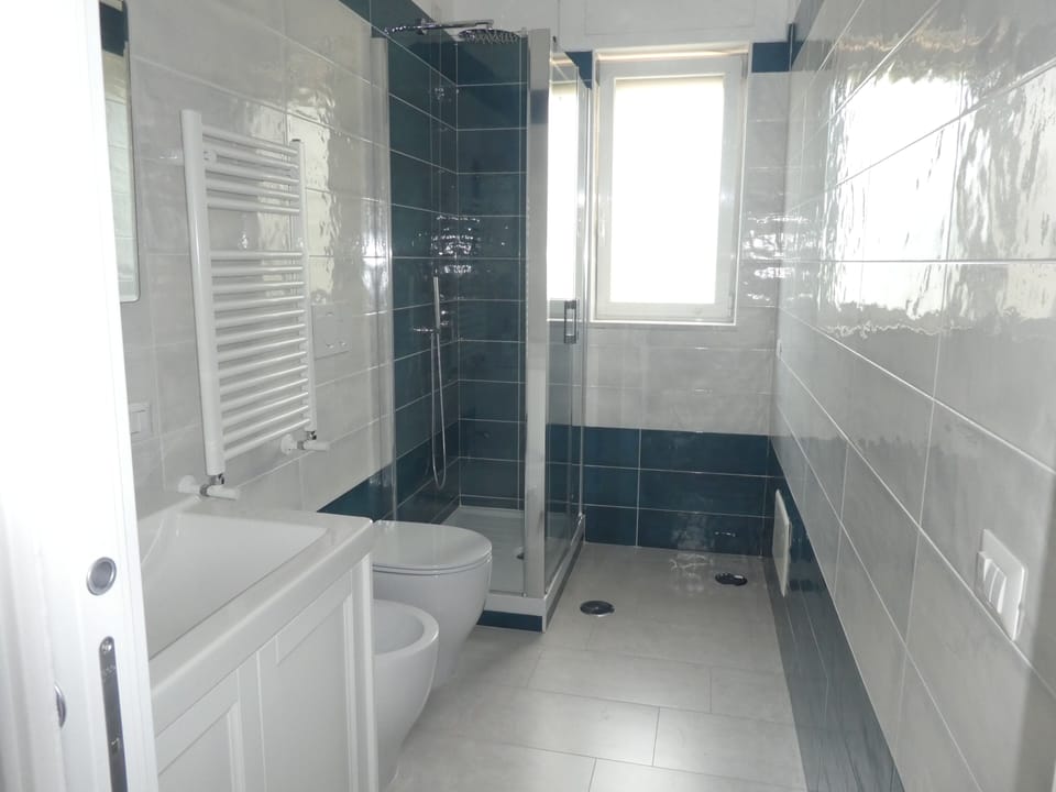 Hair dryer, bidet, towels