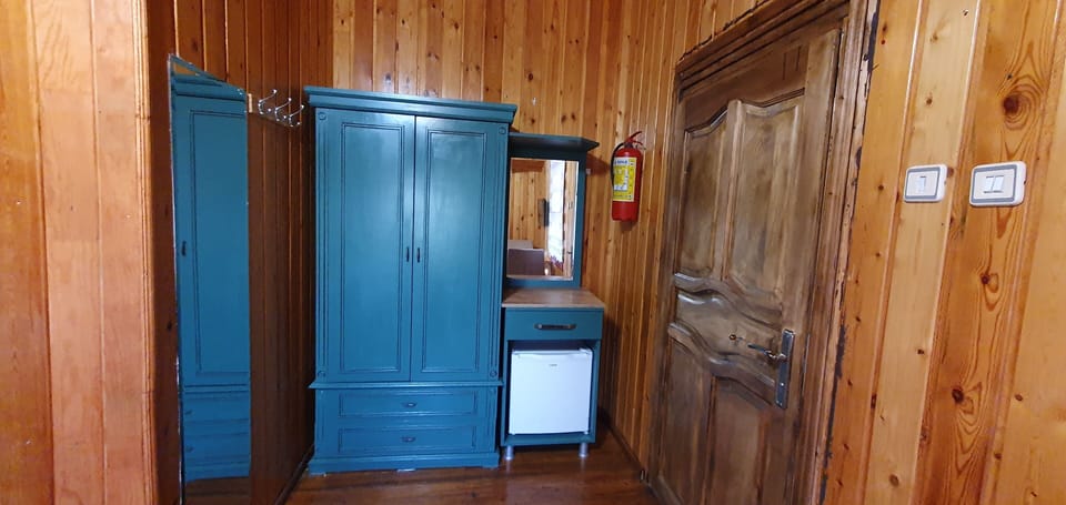 Bungalow with Fireplace | Hypo-allergenic bedding, down comforters, minibar, desk