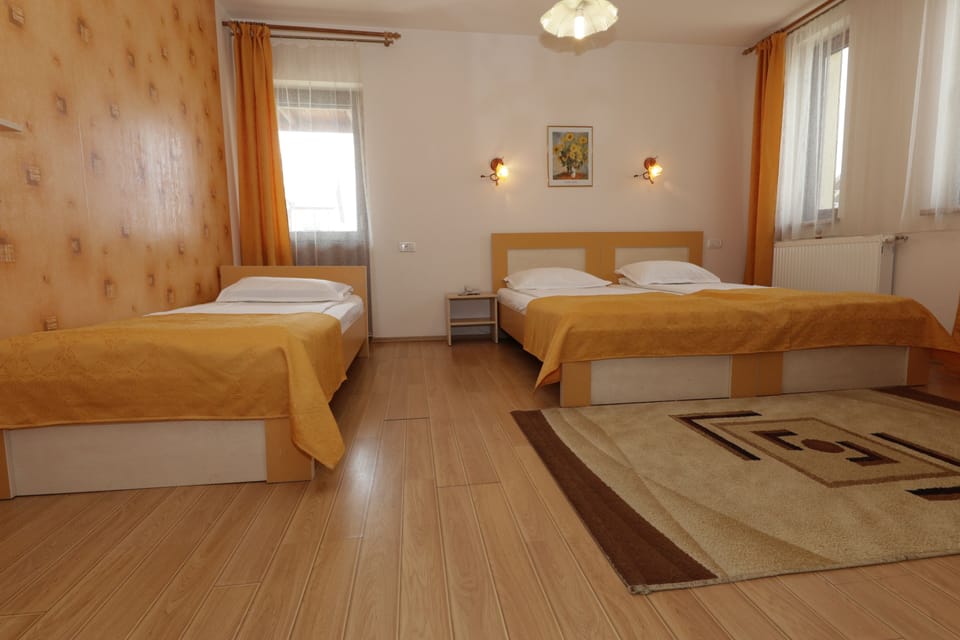 Classic Triple Room | Laptop workspace, WiFi (free), bed sheets