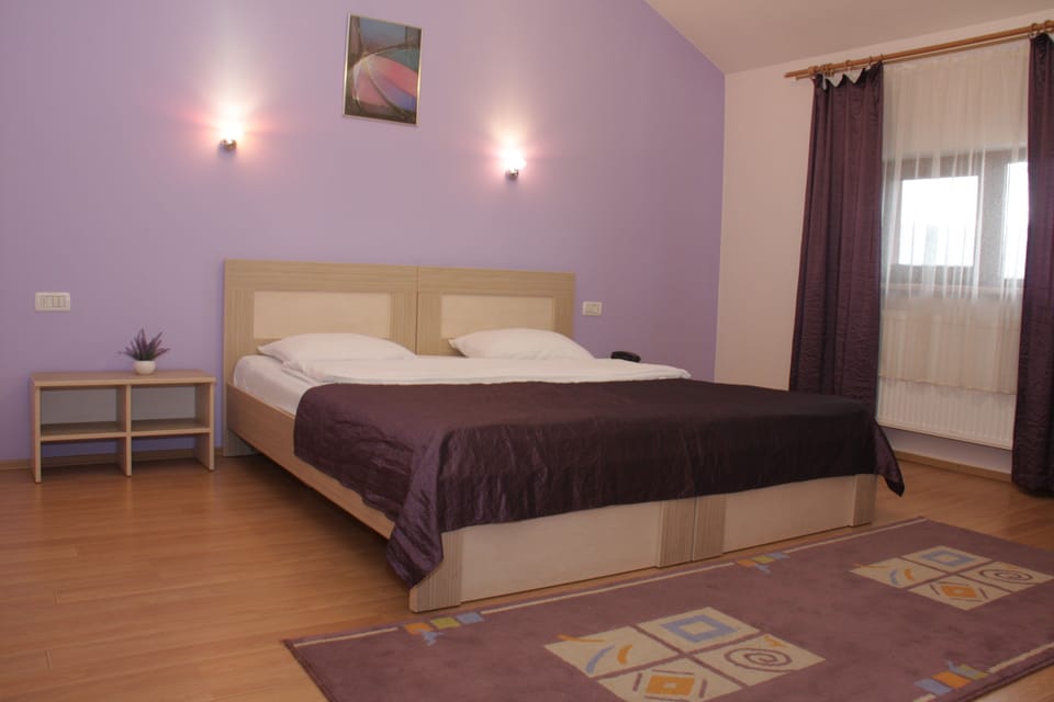 Classic Double Room | Laptop workspace, WiFi (free), bed sheets