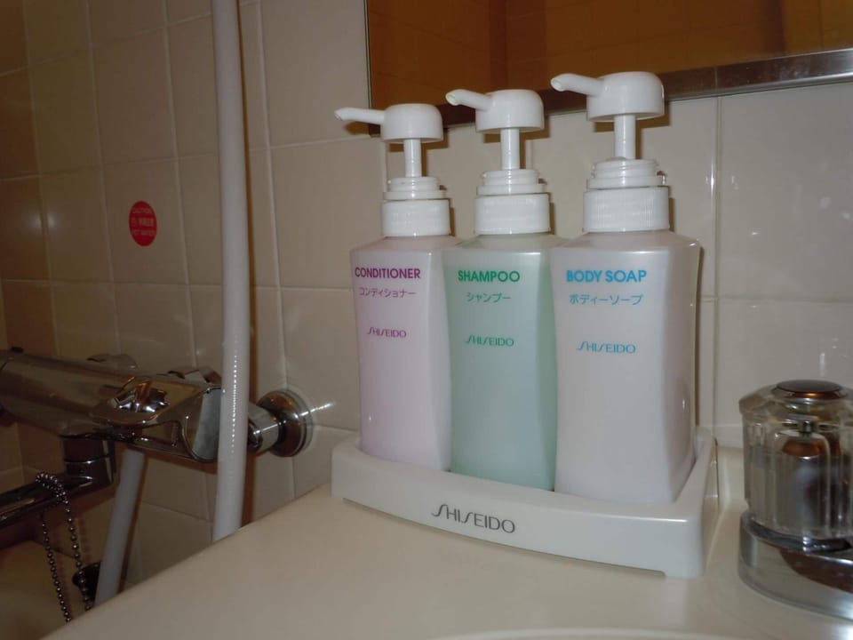 Combined shower/tub, free toiletries, hair dryer, bathrobes