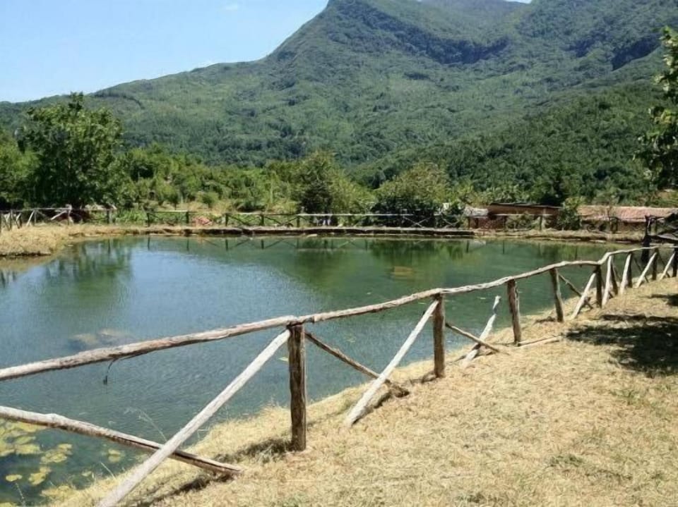 Lake