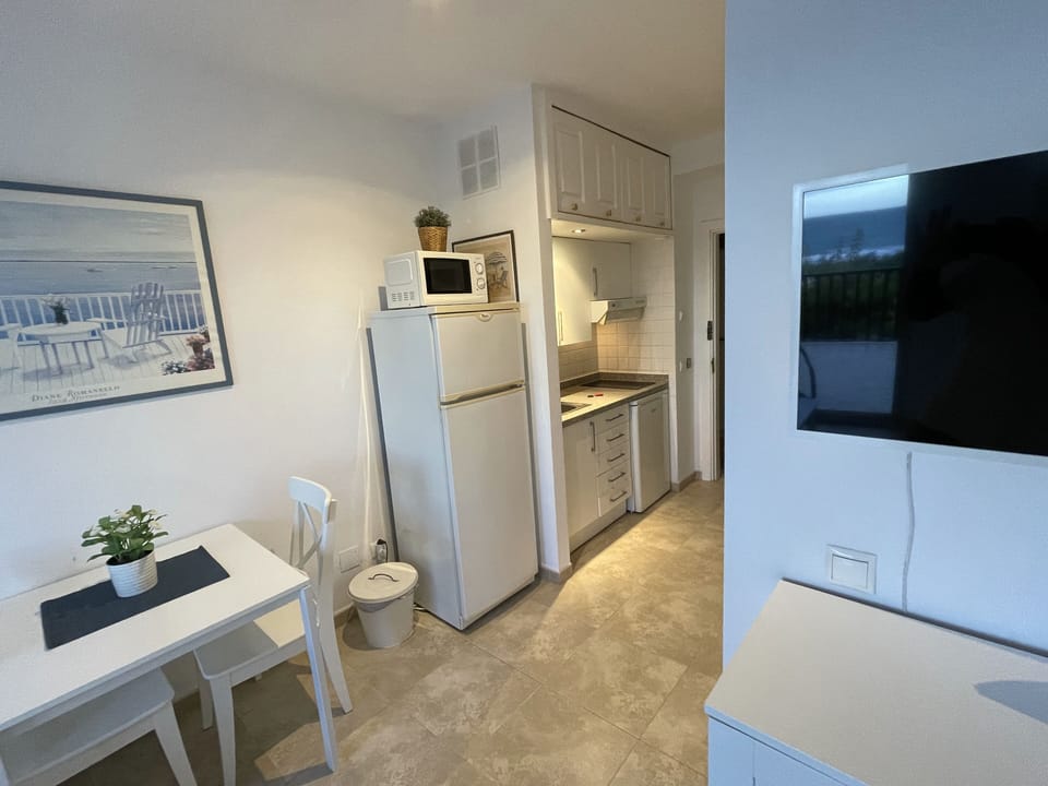 Studio, Sea View | Private kitchen | Full-size fridge, microwave, stovetop, coffee/tea maker