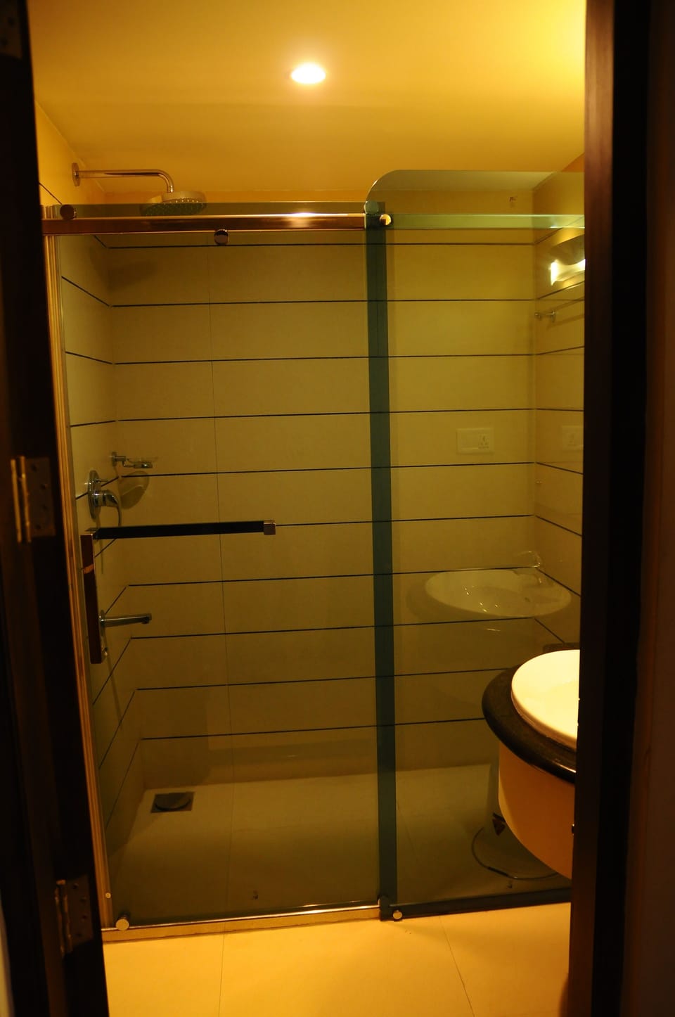 Shower, free toiletries, bidet, towels