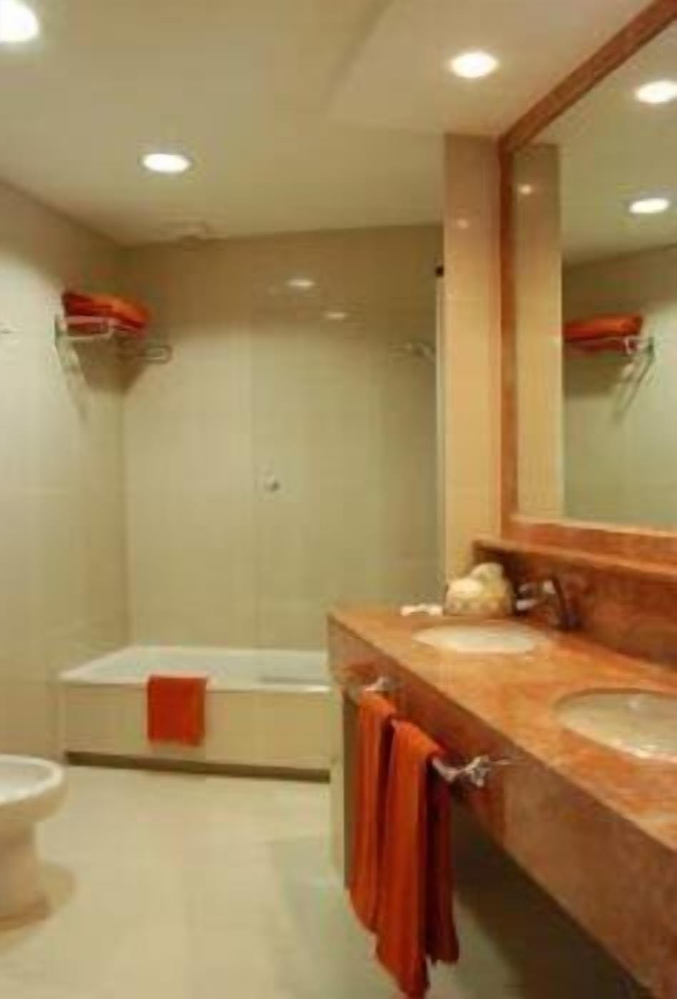 Bathtub, hair dryer, bidet, towels