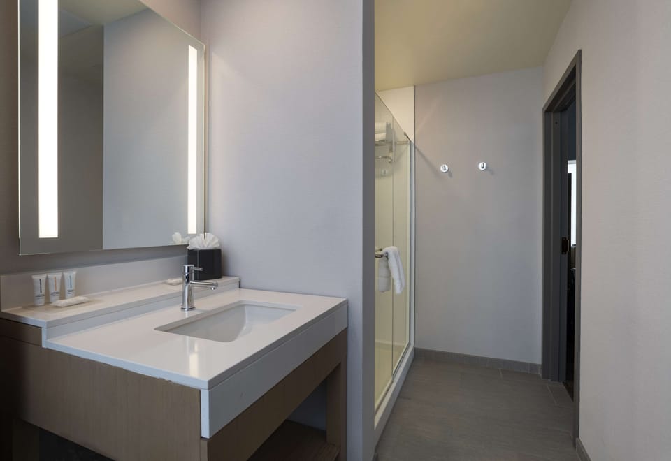 Hydromassage showerhead, free toiletries, hair dryer, towels