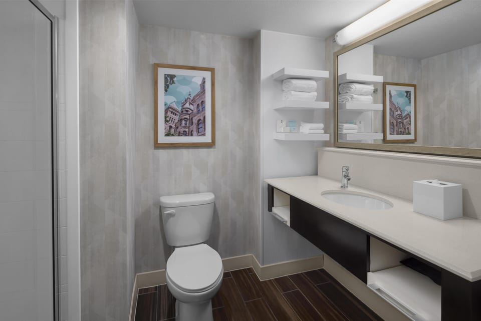 Studio, 1 King Bed, Non Smoking, Refrigerator | Bathroom shower