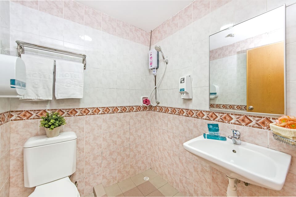 Shower, free toiletries, hair dryer, towels